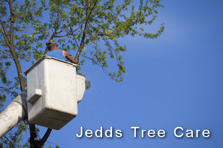 Jacobs TreeCare